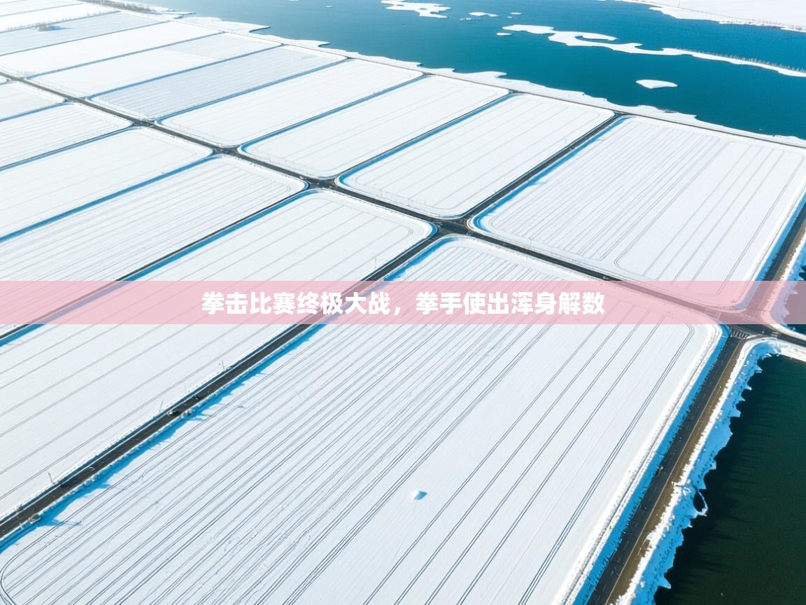 拳击比赛终极大战，拳手使出浑身解数  第1张