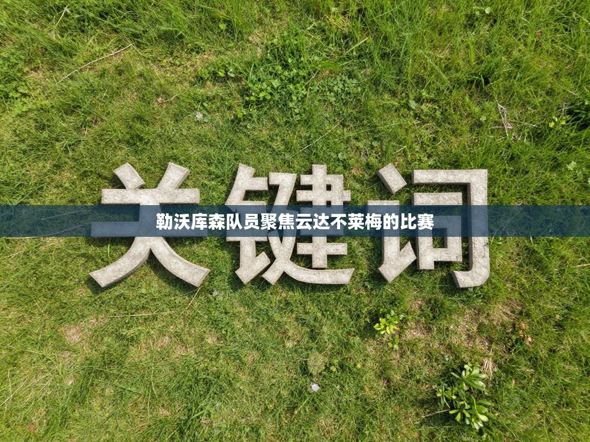 勒沃库森队员聚焦云达不莱梅的比赛  第1张