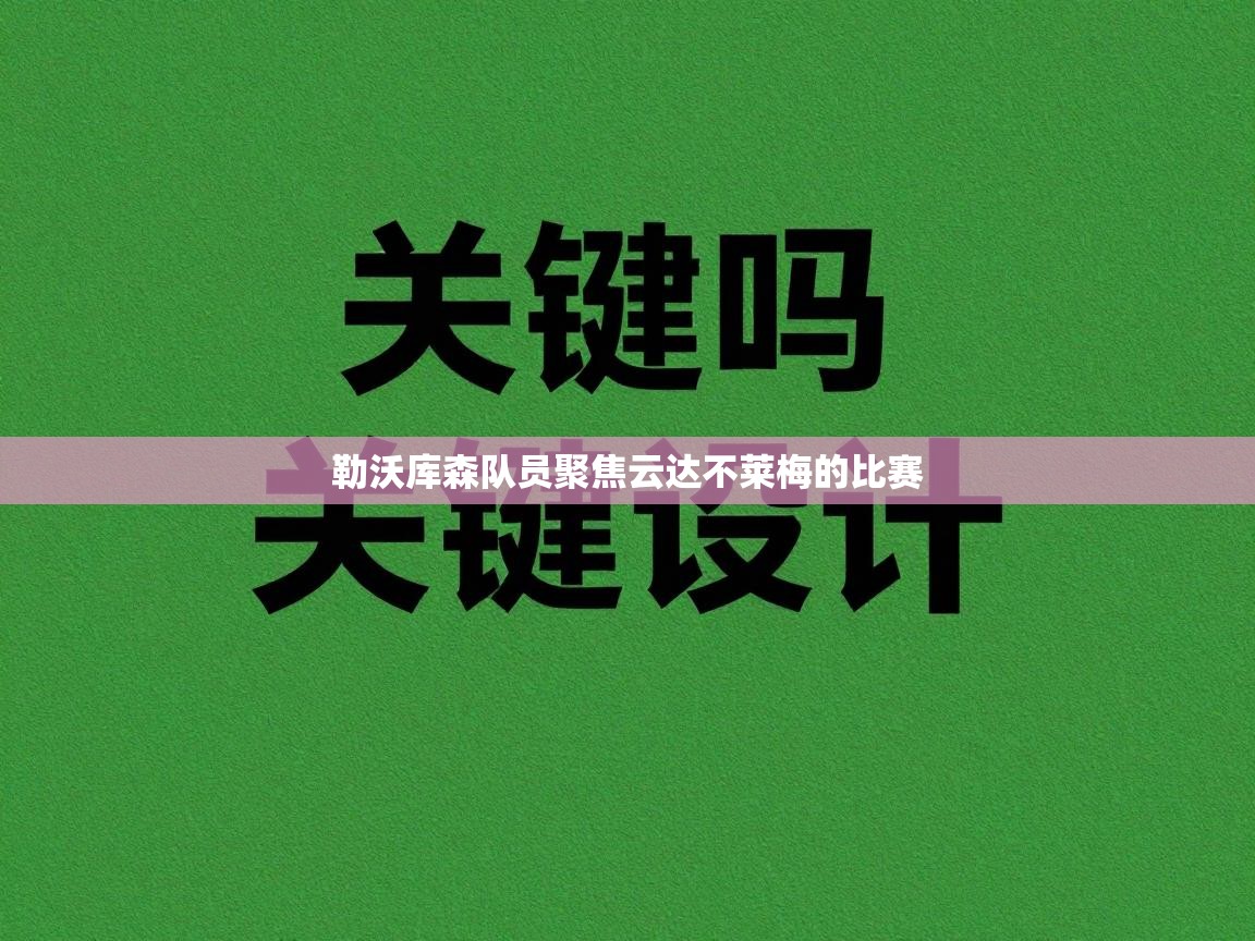 勒沃库森队员聚焦云达不莱梅的比赛  第2张