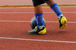 米乐m6体育官网-蒙特雷重点培养年轻球员，展望未来世俱杯